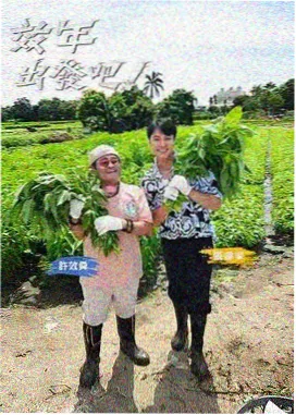 榜单配图